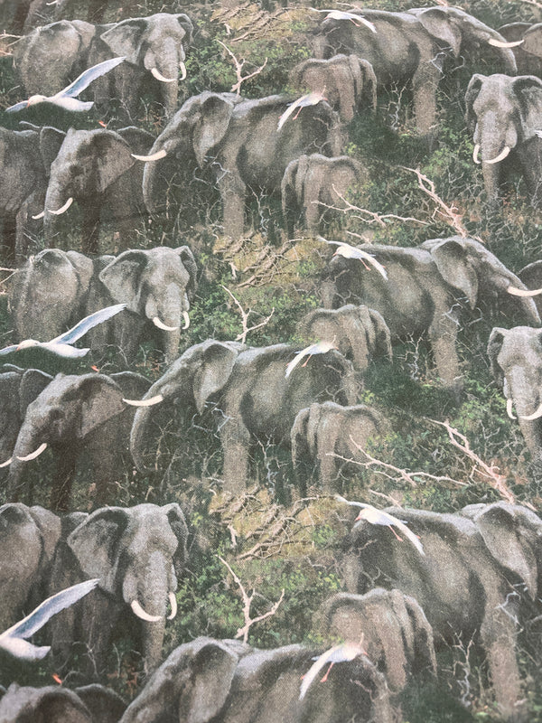 Elephant packed-100% cotton, 44” wide.