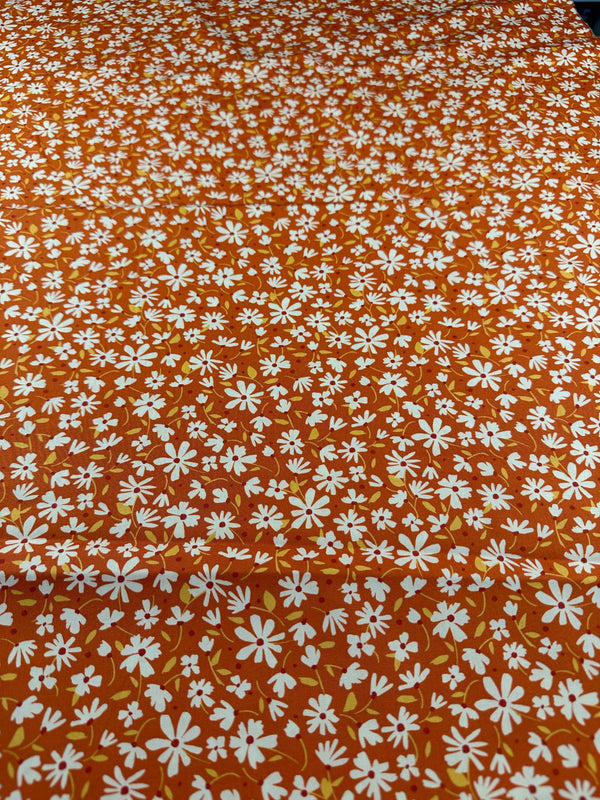 Daisies - Cotton Fabric - 44/45" Wide - 100% Cotton AI2